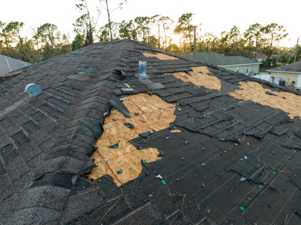 Best Commercial Roofing Services  in Lake Erie Beach, NY